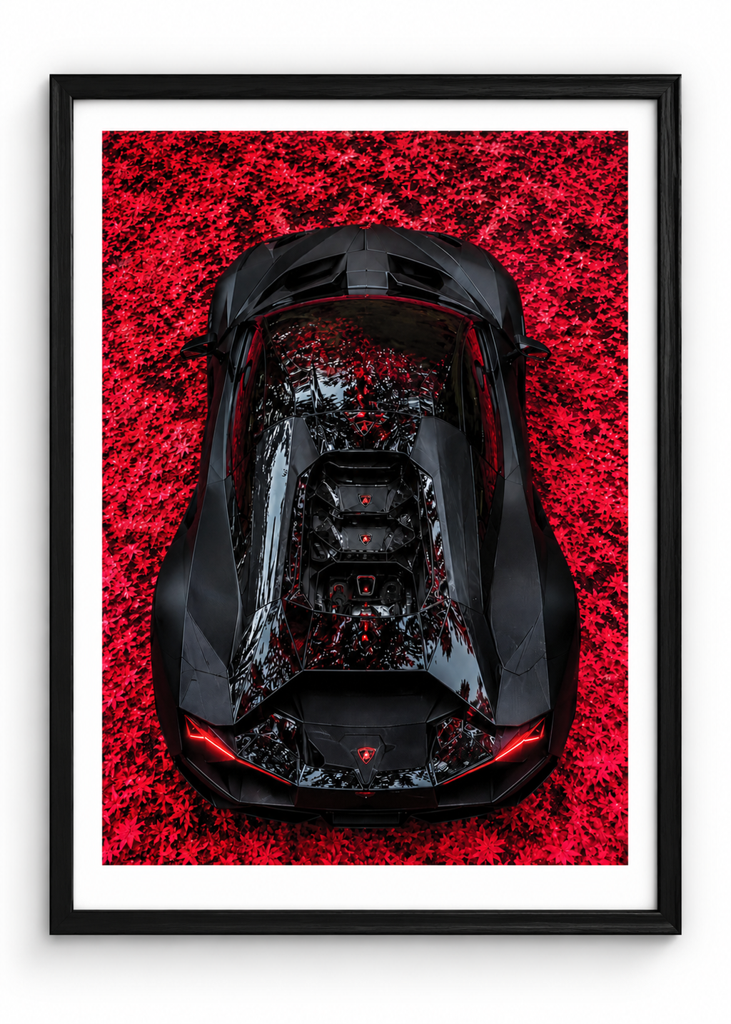 LAMBO (CRIMSON LEAVES )