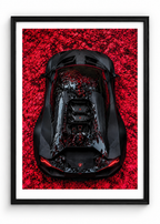 LAMBO (CRIMSON LEAVES )