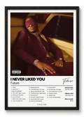I NEVER IIKED YOU
