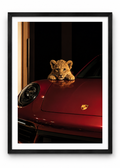 BABY LION AND PORSCHE