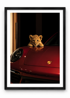 BABY LION AND PORSCHE
