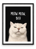 Meow Meow Bich Cat