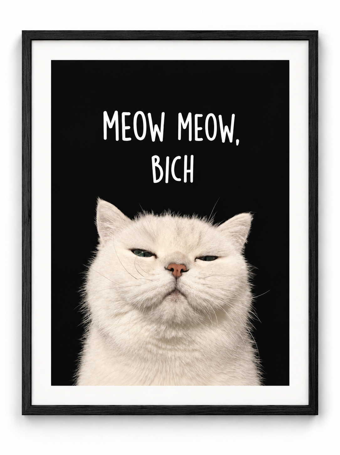 Meow Meow Bich Cat
