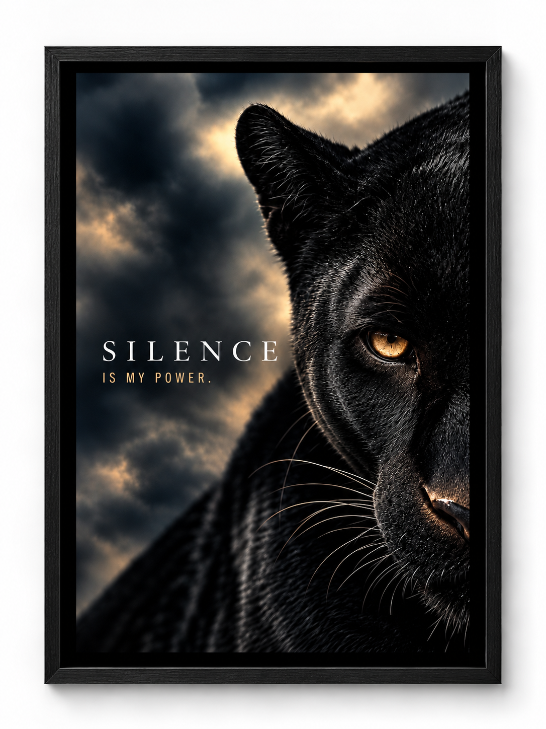 SILENCE IS MY POWER