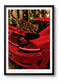 FELINE AND PORSCHE